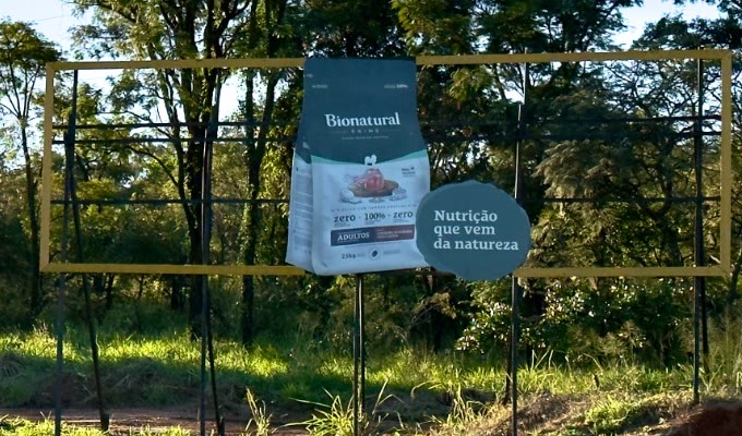 Campanha Special Dog
